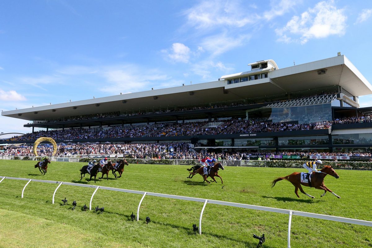 Rosehill Tip Sheet & Staking Plan: Saturday 15th January