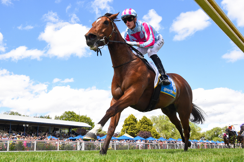 TRAINERS WARY ON BALLARAT RAIN