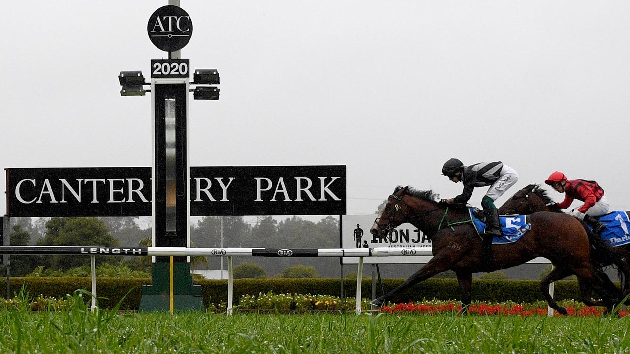 FREE: Canterbury Wednesday 22nd June – Our Selections