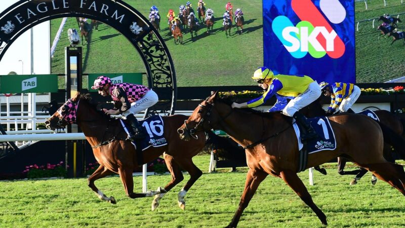 Startantes Storms Home From The Clouds To Win Tiara
