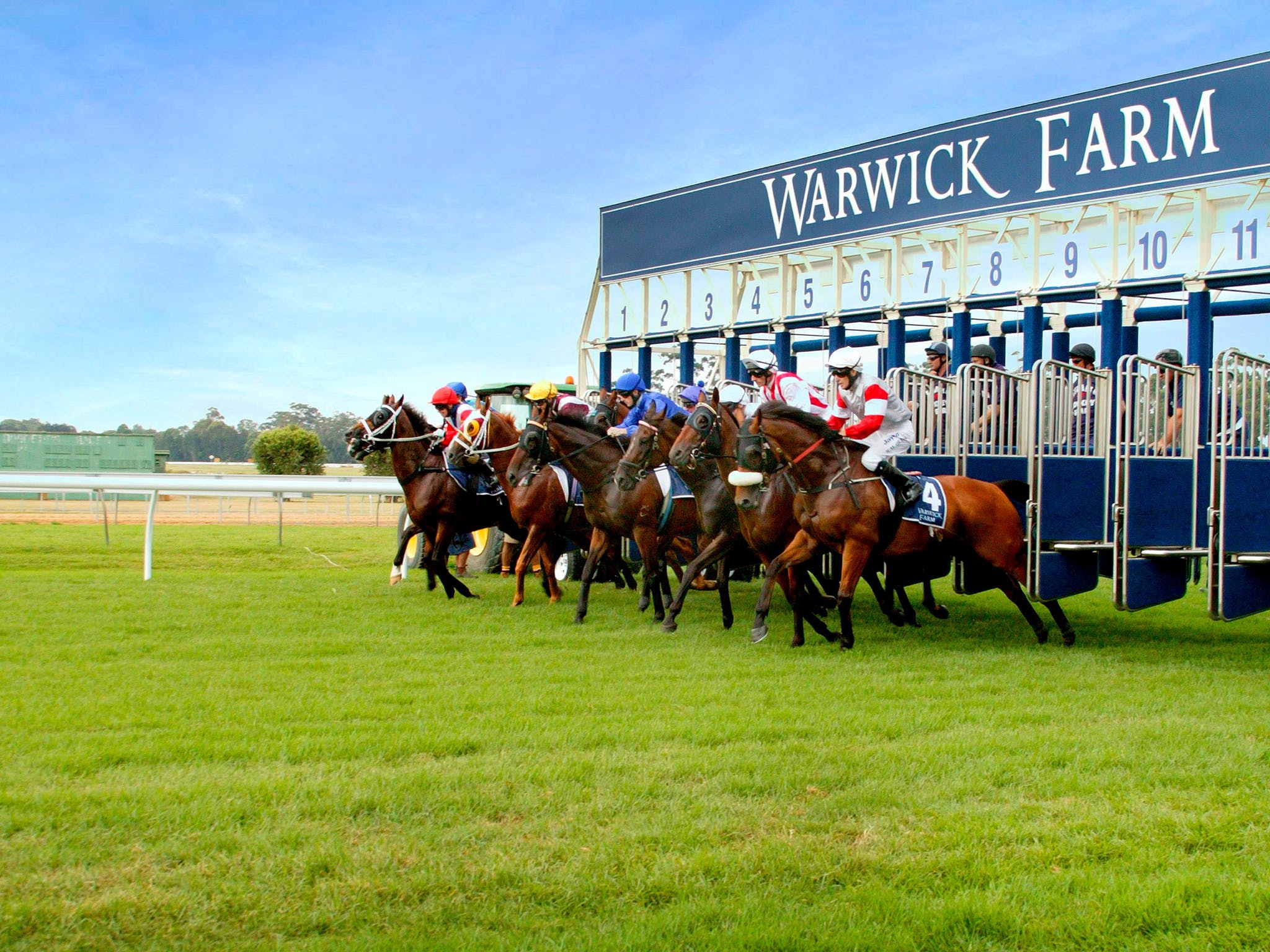 FREE: Warwick Farm 13th July – Our Selections