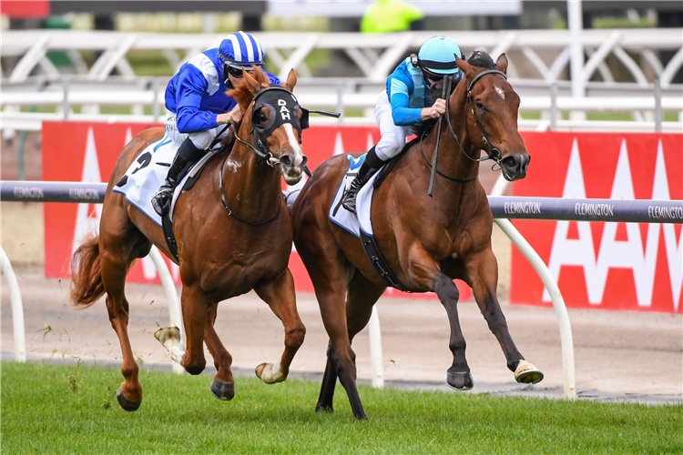 Team Hayes Looking For Black Type With Aysar
