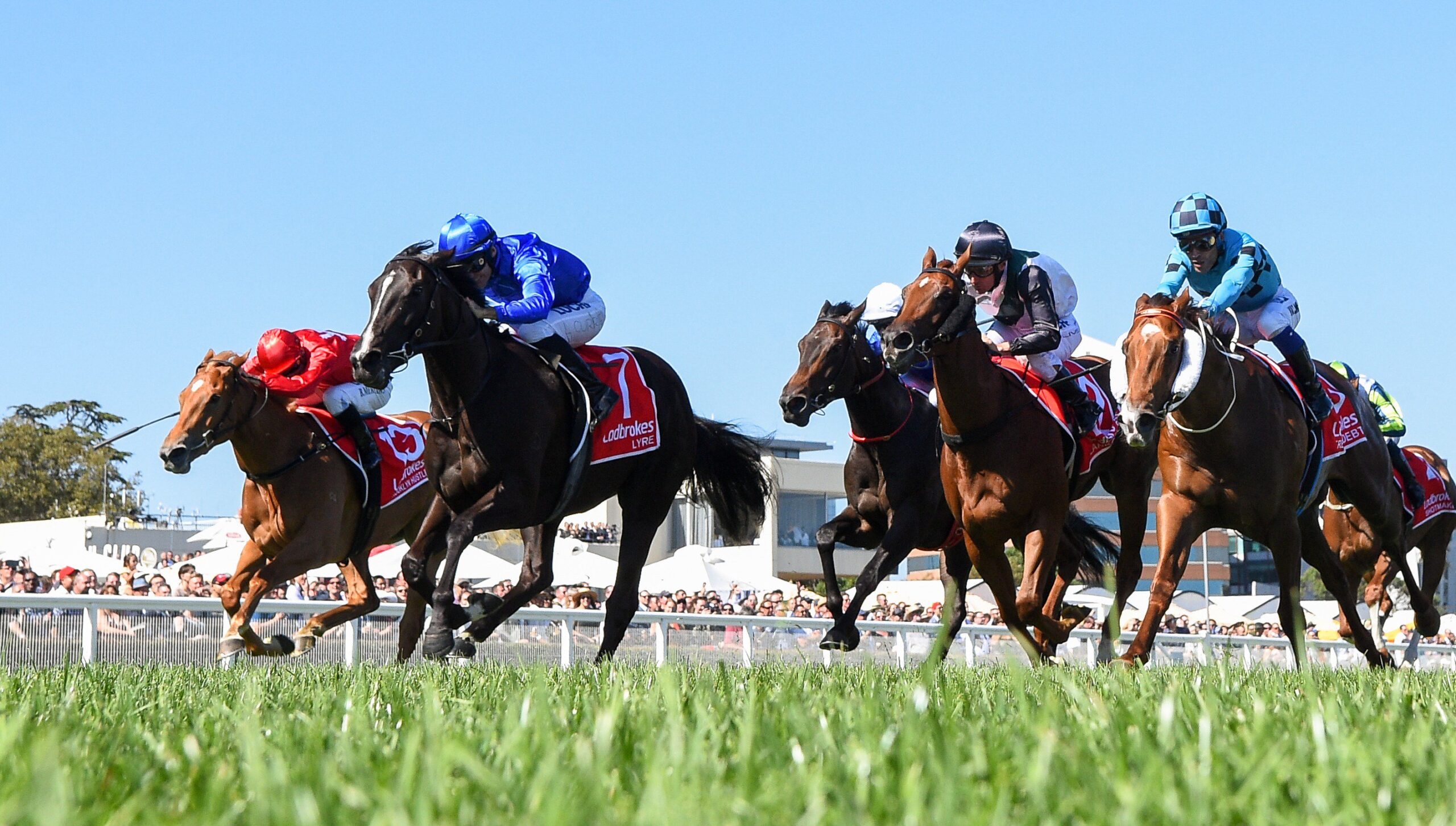 FREE: Rosehill Saturday 30th July – Our Selections