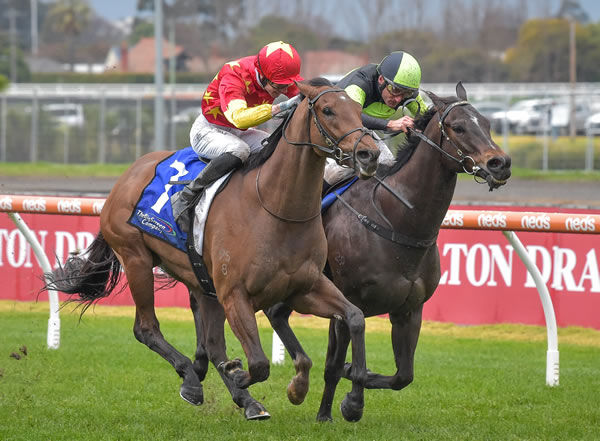 Sydney Sprinter King Of Caulfield