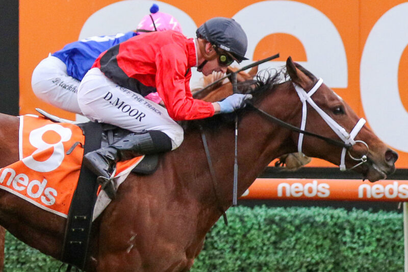 MOOR AND MILEVA TO THE FORE AT CAULFIELD