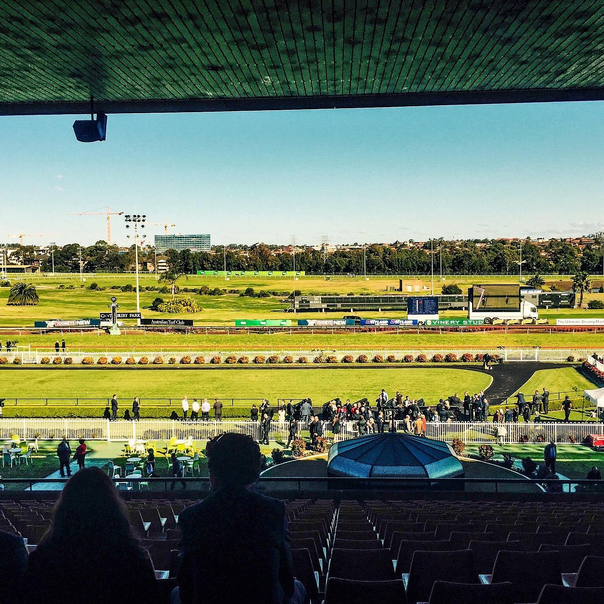 FREE: Canterbury Thursday 2nd July – Our Picks