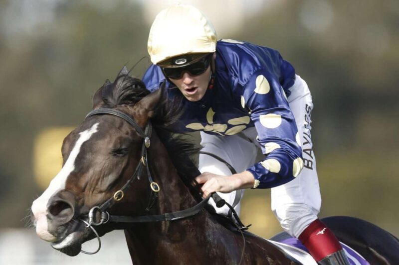 Rosehill Review: Kibou Untapped According To Bayliss