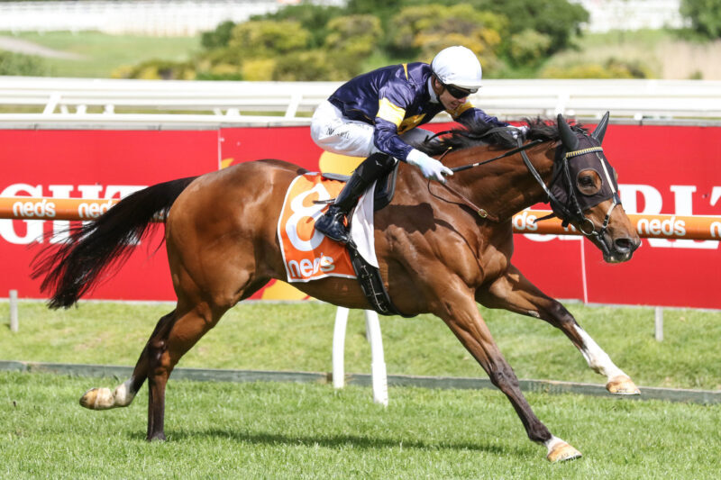 Caulfield Preview: Moroney Hoping Plan Pays Off