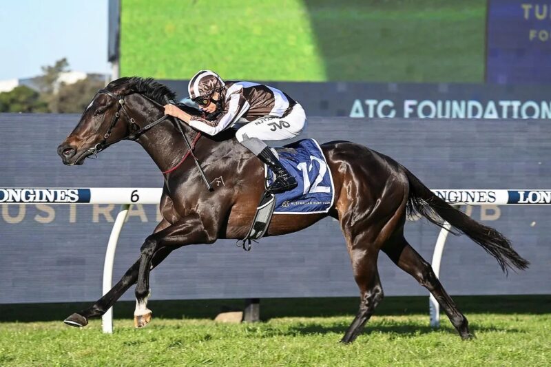 Rosehill Review: The Talk Is He Has A Big Future