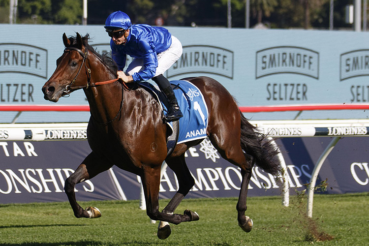 FREE: Randwick Saturday 20th August – Our Selections