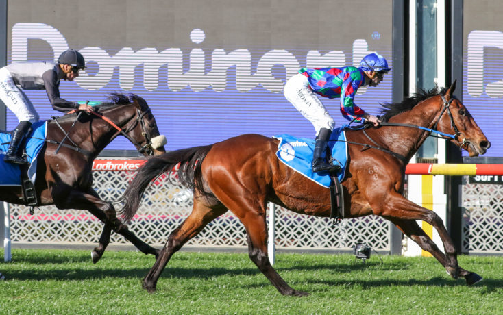 Moonee Valley Review: Rae Has Found A Stayer For The Future