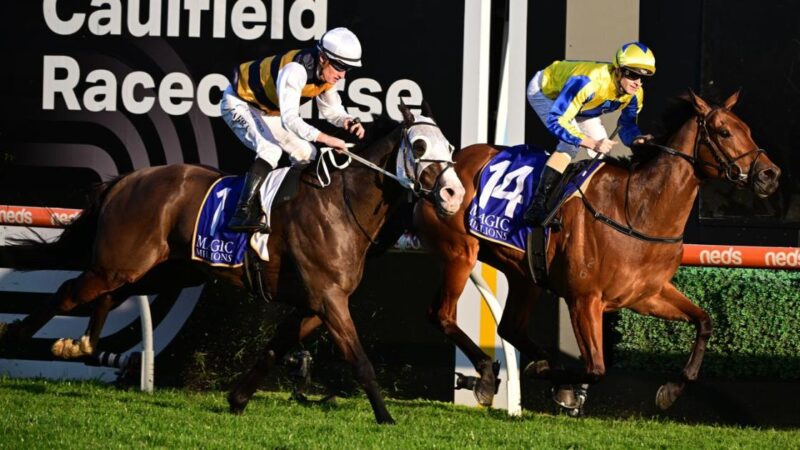 Caulfield Review: No Snap Decisions For Maher