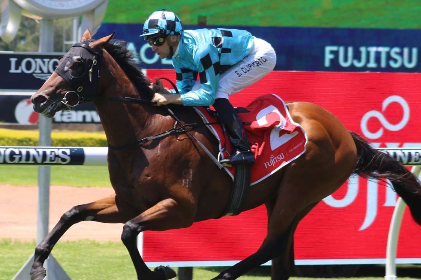 FREE: Rosehill Saturday 27th August – Our Selections