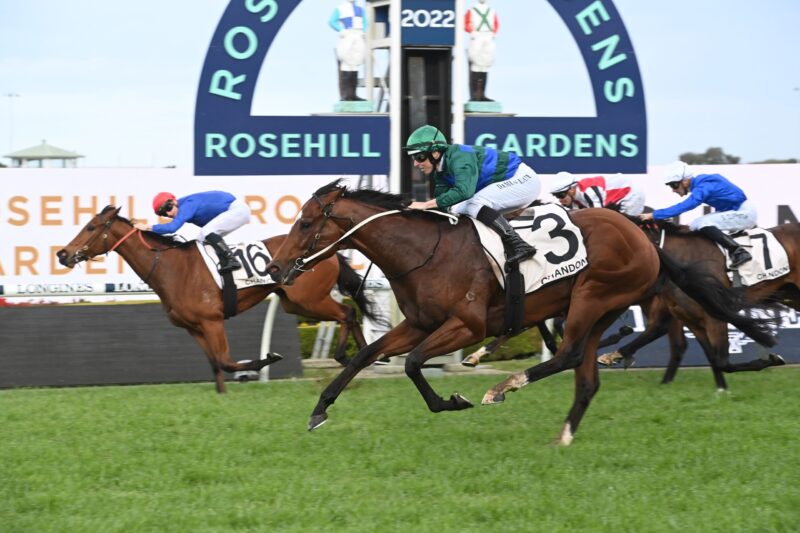 Rosehill Review: Where To For Jacquinot?