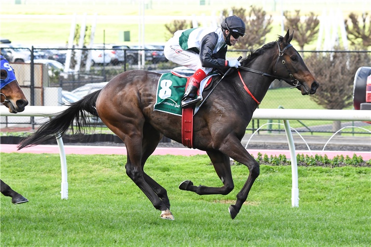 The Valley Preview: Hayes Bright Over Star Galloper’s Chances