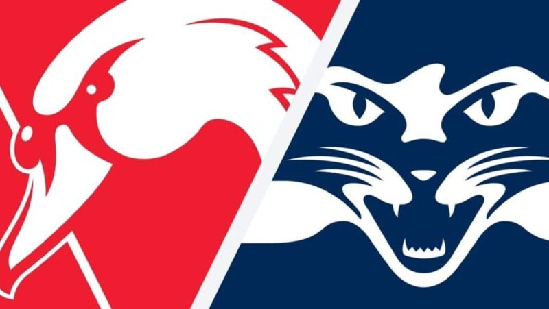 AFL Grand Final Preview: Sydney v Geelong