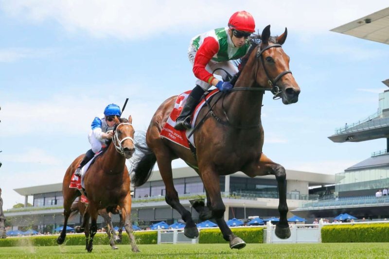FREE: Rosehill Saturday 10th September – Our Selections
