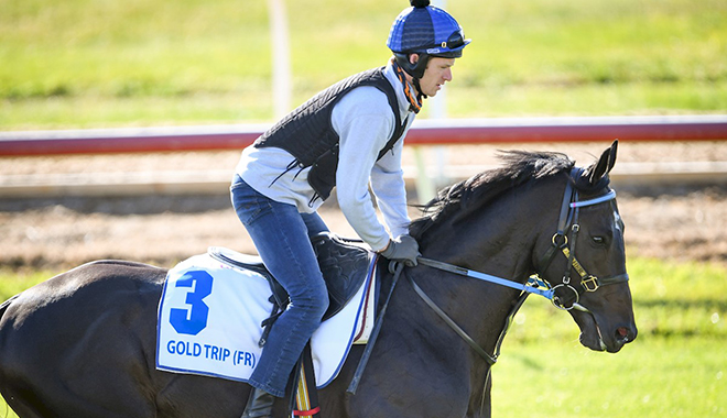 Moonee Valley Preview: Maher Planning For A Gold Cox Plate Trip