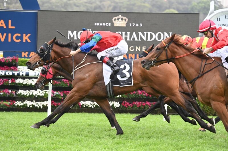 Randwick Review: Sharp, Smart And A Derby Stayer