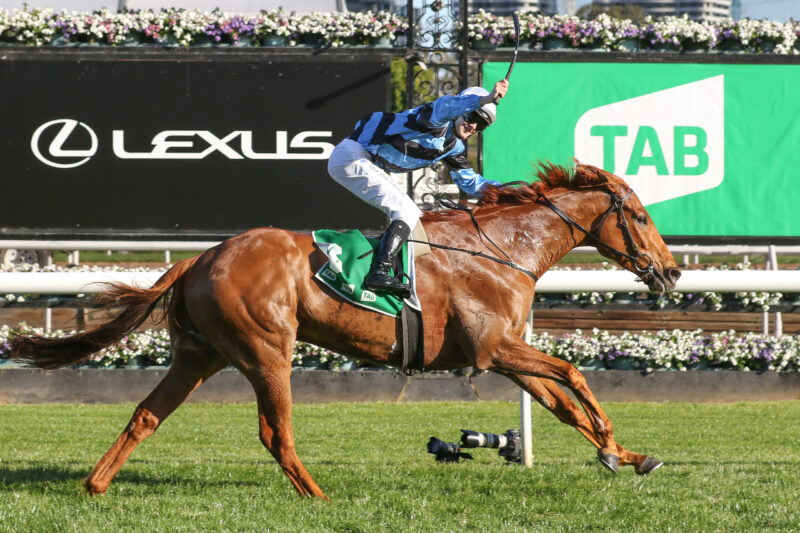 Flemington Review: Smokin’ New Caulfield Cup Favourite