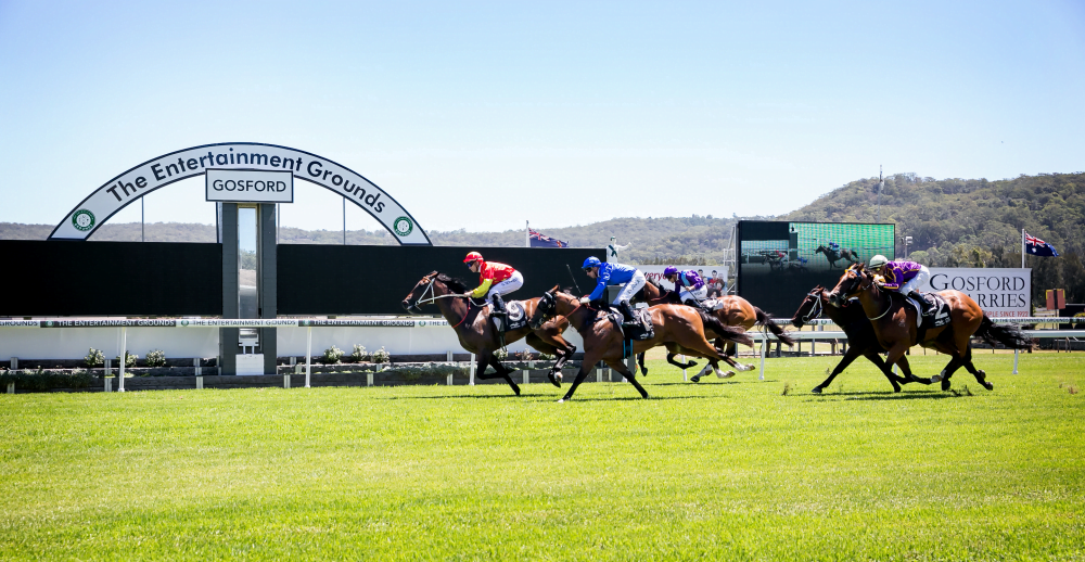FREE: Gosford Tip Sheet & Staking Plan: Wednesday 30th November