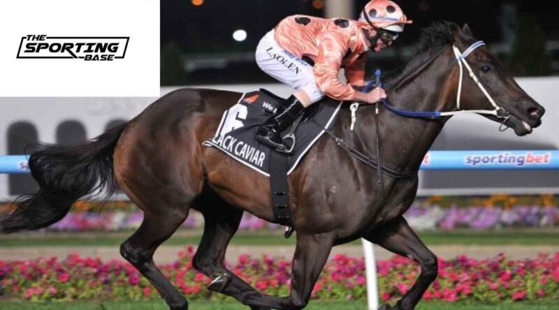 Join Our Racing Group Chat Now!