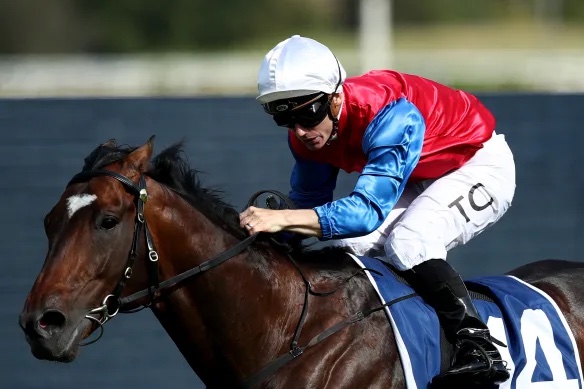 Rosehill Review: Dajraan Heading For The Ingham