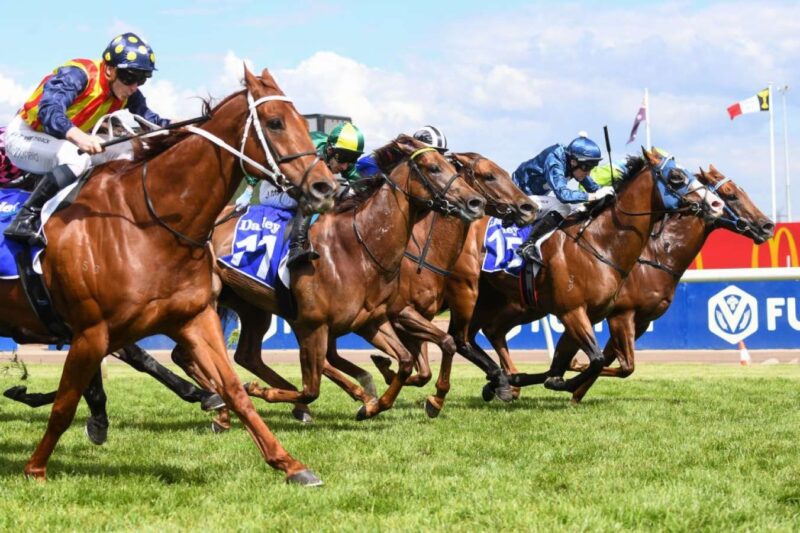 FREE: Flemington Tip Sheet & Staking Plan: Saturday 20th January