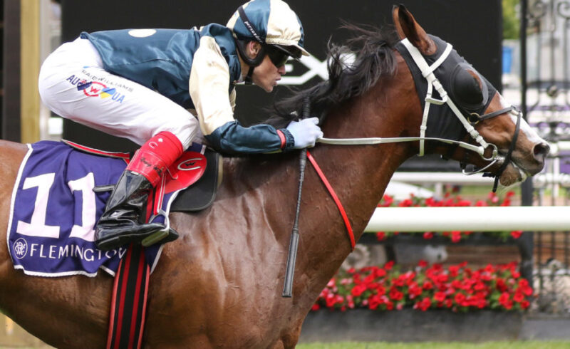 Flemington Review: Soulcombe Impresses For 2023 Melbourne Cup