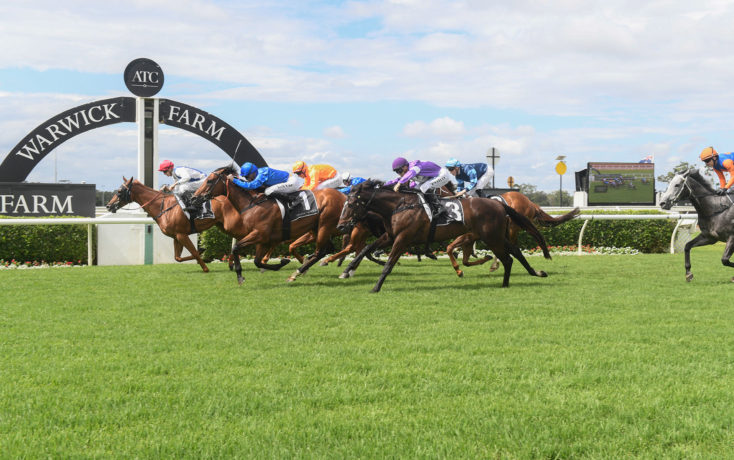 FREE: Warwick Farm Tip Sheet & Staking Plan: Wednesday 23rd November