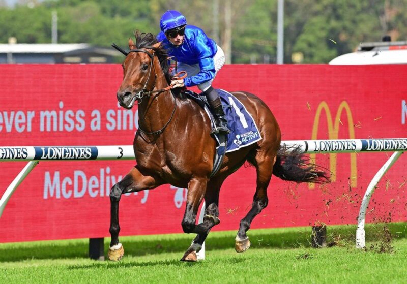 What’s In Store in 2023 For Cox Plate Hero Anamoe?
