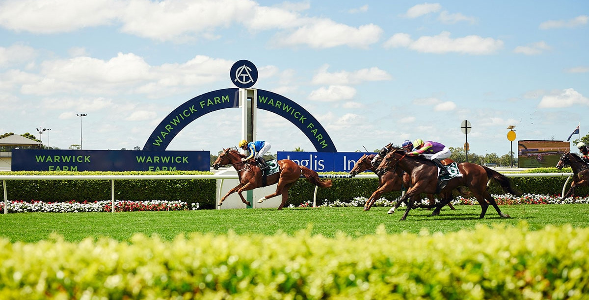 FREE: Warwick Farm  Tip Sheet & Staking Plan: Wednesday 21st December