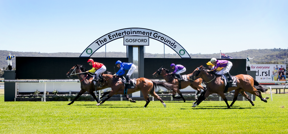 FREE: Gosford Tip Sheet & Staking Plan: Wednesday 25th January