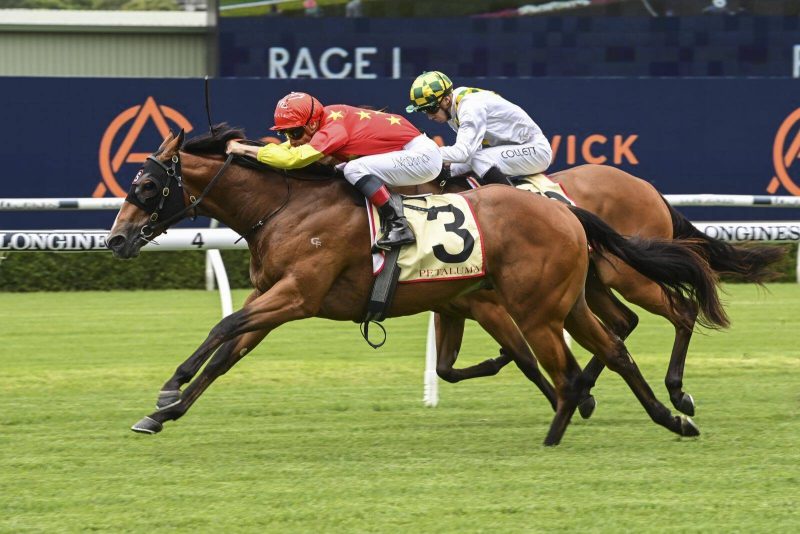 Randwick Review: Don Corleone Emerges As A Golden Slipper Threat