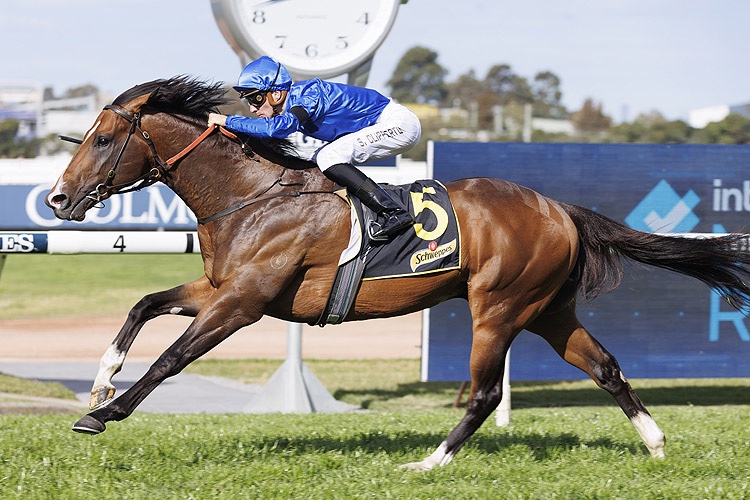 Rosehill Preview: Star Colt Golden Mile Is Back