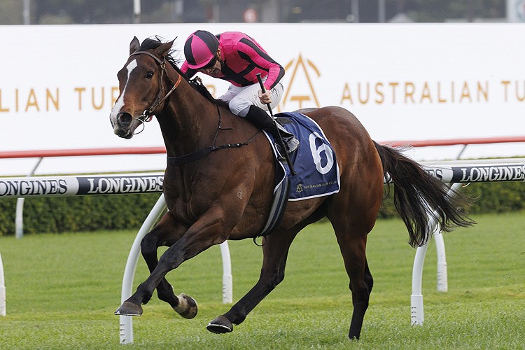 FREE: Randwick Tip Sheet & Staking Plan: Saturday 21st January