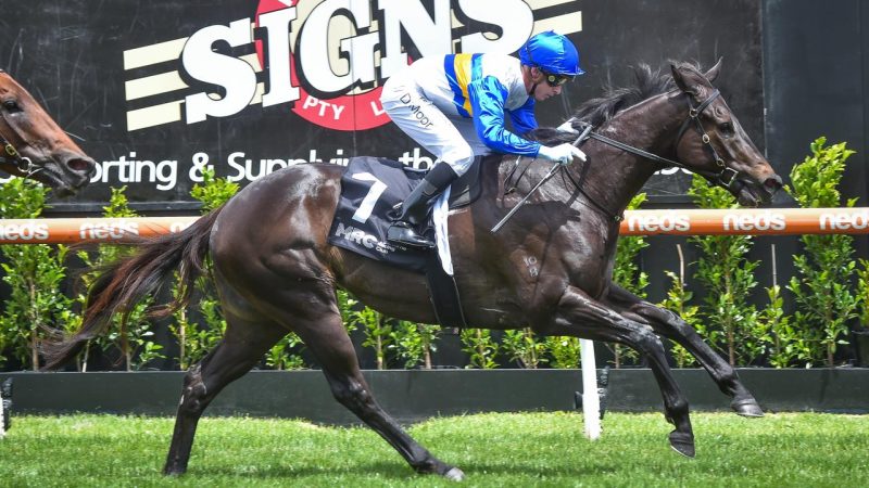 Moonee Valley: Mouth Watering Clash Of Summer Stars