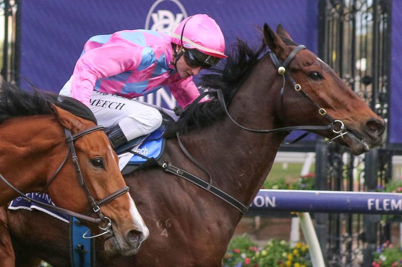 Randwick Preview: Elvis Ready To Break Hoodoo
