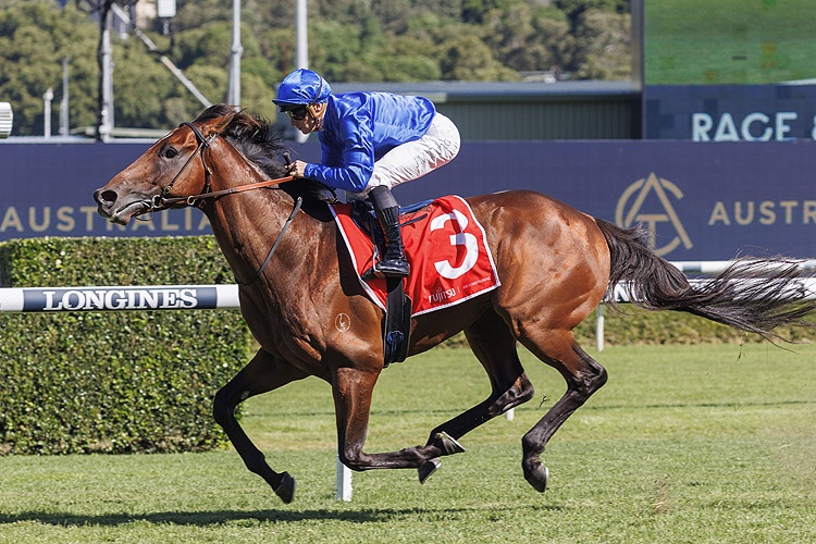 Randwick Review: Cabin On The Way To The Top Level