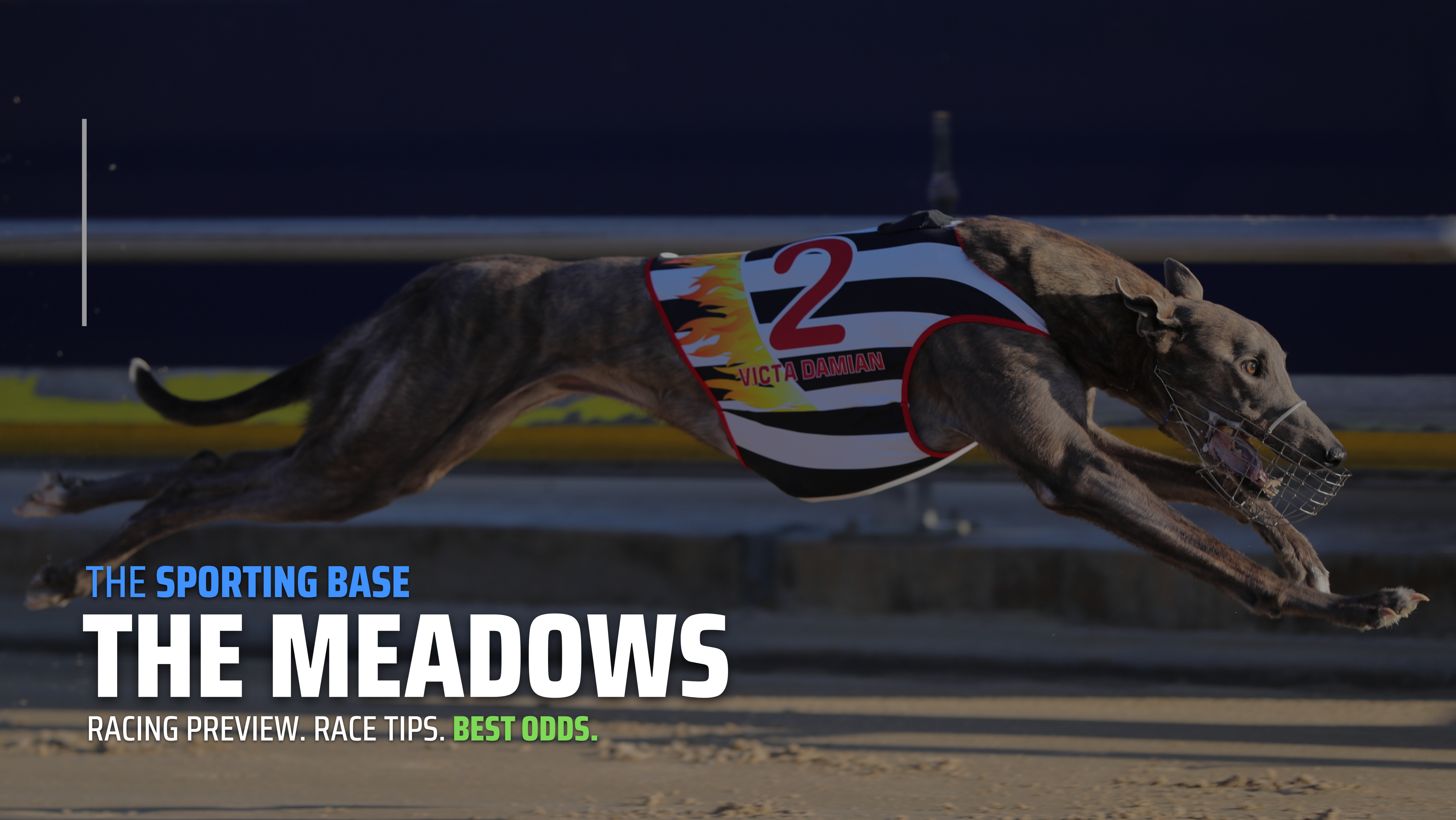 FREE: The Meadows Greyhounds Tip Sheet & Staking Plan 18th February