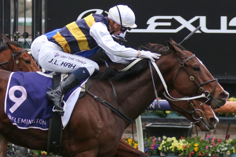 Mornington Preview: It’s A Cracker Of A Cup