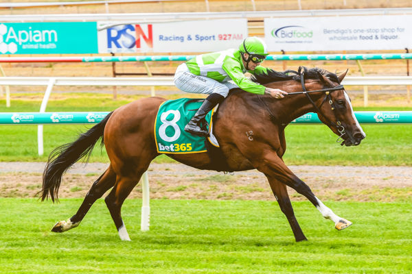 Sandown Preview: Zahra’s Filly Sells Speed