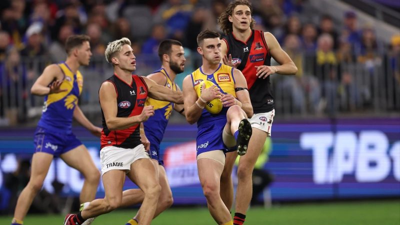 AFL Round 11: Our Insights & Selections