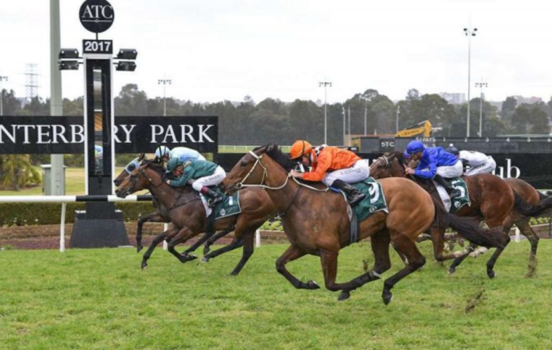 Canterbury Best Selection & Value Play 28/5