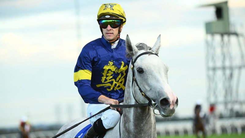 Flemington Preview: Ramsden A Golden Race