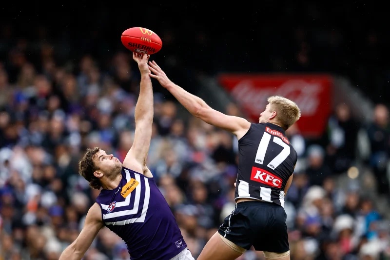 AFL Round 18: Our Insights & Selections