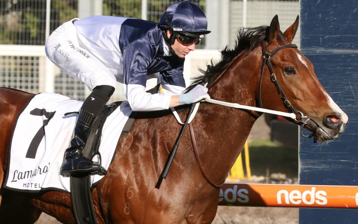 Moonee Valley Preview: Price Wary On Sprinter