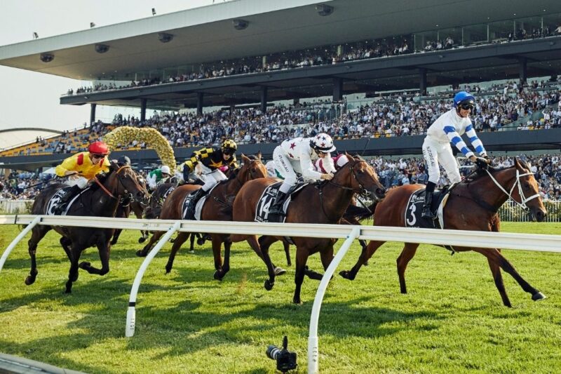 Black Book: Horses You Must Follow From Rosehill 28/6