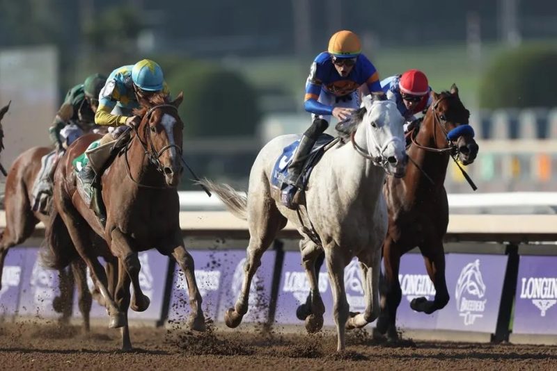 Who Were The Winners Of Breeders’ Cup 2023? The Sporting Base