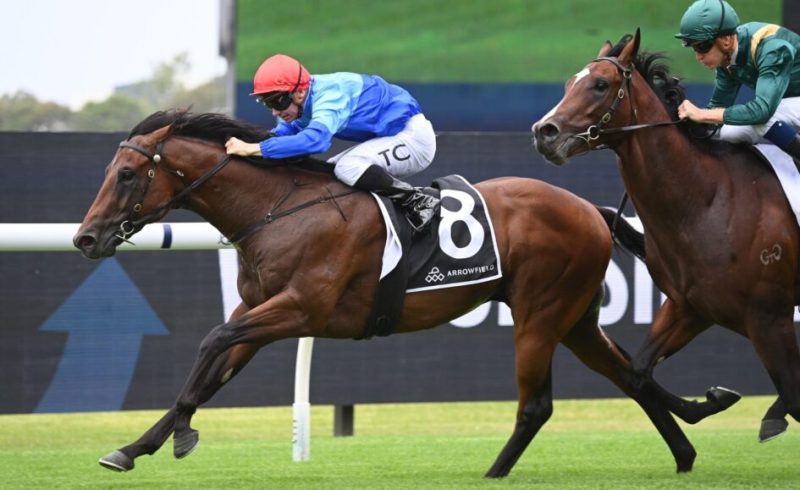 2024 Cannonbury Stakes Review: What The Jockeys Said